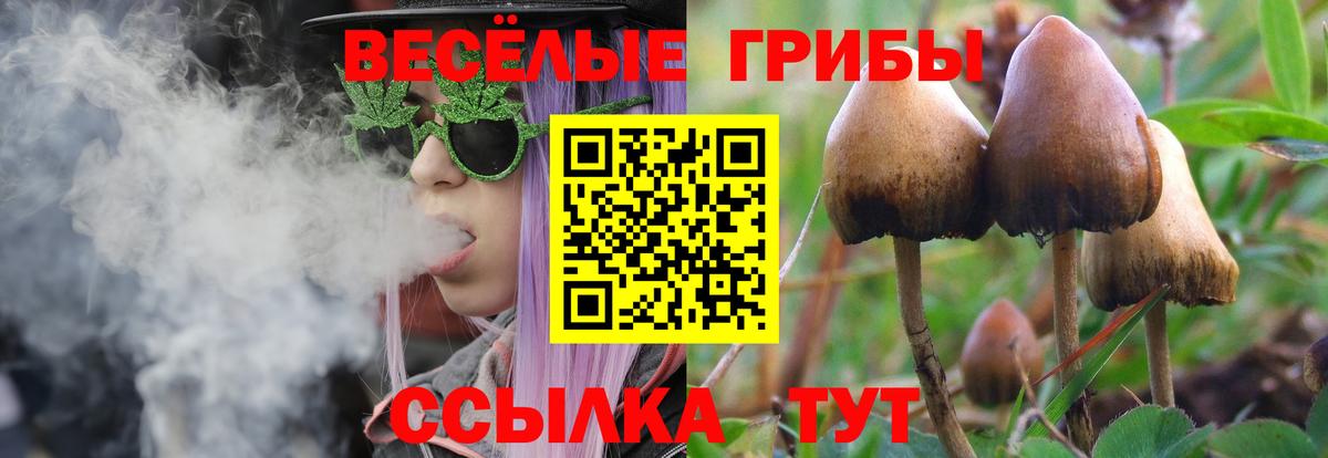 Гудермес  Галлюциногенные грибы мухоморы  Вход с VPN 